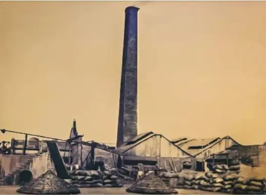 B.C. Halder Rice and Oil Mills 1924