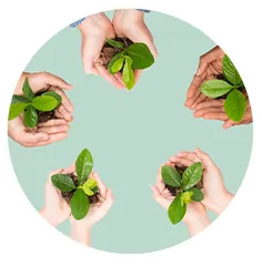 Sustainability