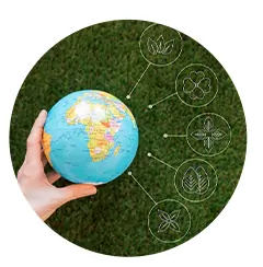 Global Sustainability