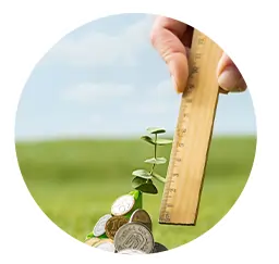 Soil Health