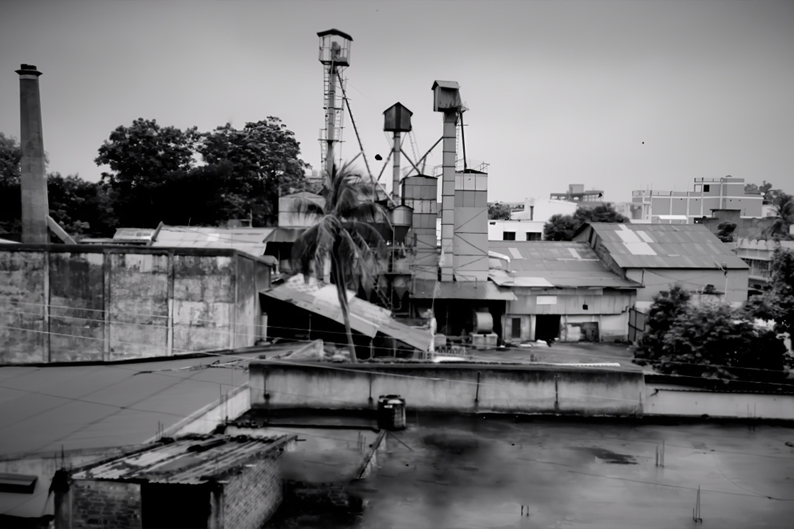 Halder Venture Limited rice mill